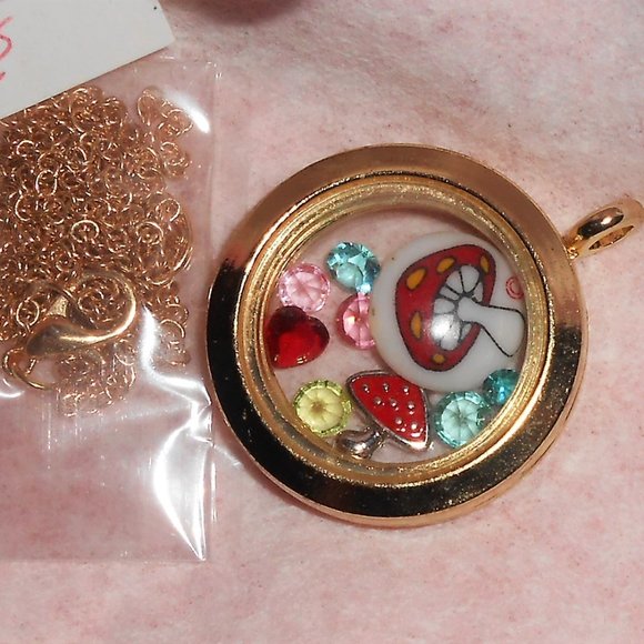 Floating Charms in Story Locket Memory Pendant Choice - Picture 9 of 16
